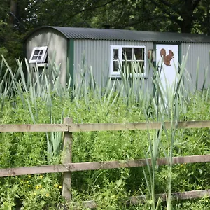 The Squirrels Drey Shepherds Hut Holiday home Cowling
